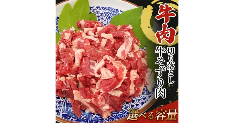 【ふるさと納税】★レビューキャンペーン★＼容量が選べる！／ 訳あり 牛肉 切り落とし 1kg（500g×2）・1.5kg（500g×3）・2kg（500g×4） 牛そずり肉 TY0-0614var