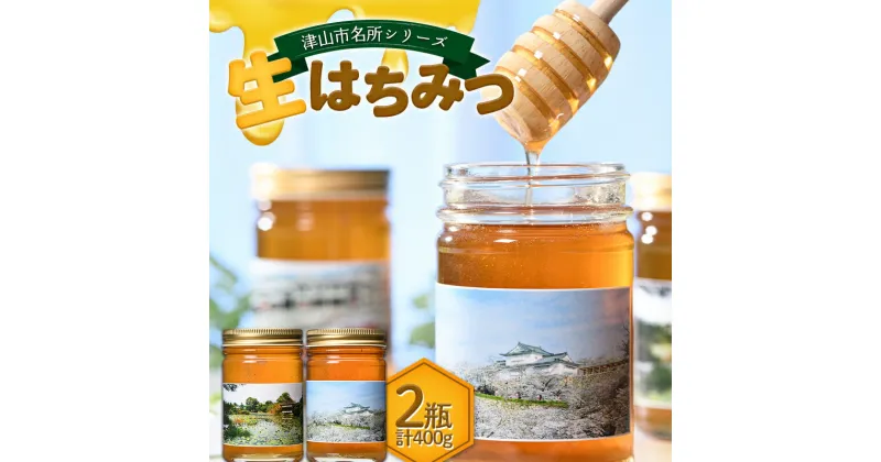 【ふるさと納税】★レビューキャンペーン★津山市名所シリーズ 生はちみつ200g×2瓶 ハチミツ 蜂蜜 調味料 はちみつ 加工品 食品 TY0-0584