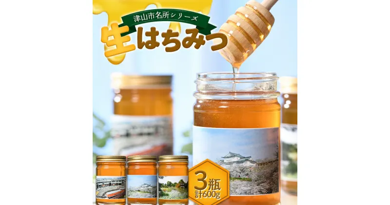 【ふるさと納税】★レビューキャンペーン★津山市名所シリーズ 生はちみつ200g×3瓶 ハチミツ 蜂蜜 調味料 はちみつ 加工品 食品 TY0-0585