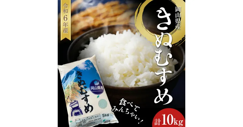 【ふるさと納税】食べてみんちゃい！ 令和6年岡山県産米 きぬむすめ 米 お米 ブランド米 銘柄米 備蓄 日本米 コメ ごはん ご飯 食品 TY0-0761