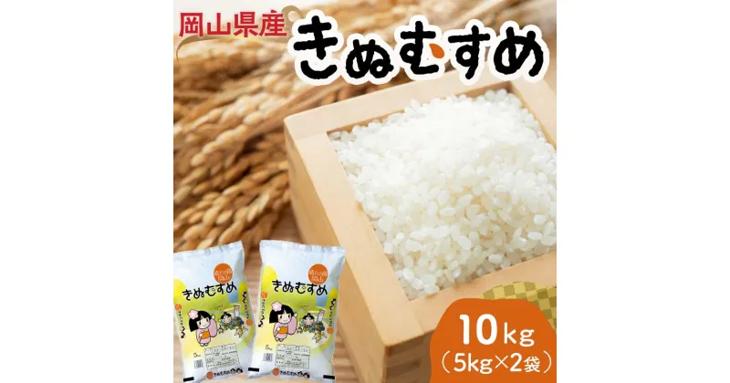 【ふるさと納税】岡山県産きぬむすめ 10kg（5kg×2袋） きぬむすめ 米 お米 ブランド米 銘柄米 備蓄 日本米 コメ ごはん ご飯 食品 TY0-0789