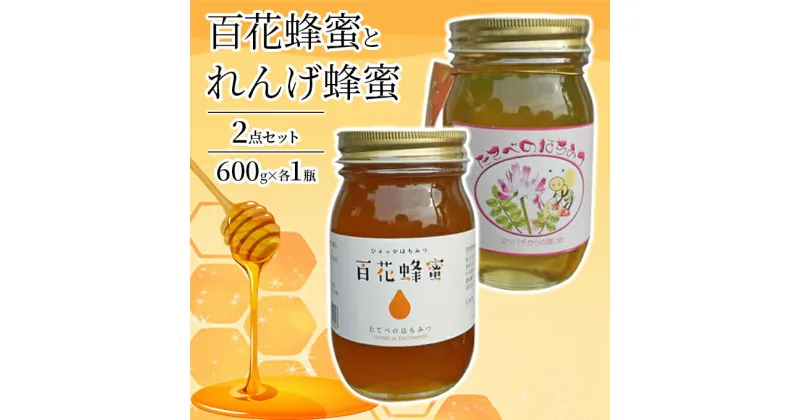 【ふるさと納税】＜ れんげ 蜂蜜 ＞と＜ 百花 蜂蜜 ＞の2点 セット はちみつ 加工食品　蜂蜜 加工食品