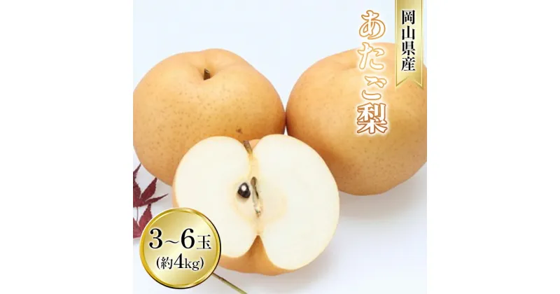 【ふるさと納税】梨 2024年 先行予約 あたご梨 約4kg 3～6玉入り なし ナシ 岡山県産 国産 フルーツ 果物 ギフト　玉野市　お届け：2024年11月下旬～2024年12月中旬