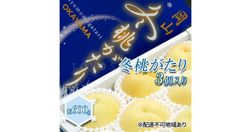 【ふるさと納税】桃 2024年 先行予約 岡山県産 白桃 冬桃がたり 3個入り 約600g もも モモ 岡山県産 国産 フルーツ 果物 ギフト　 玉野市 　お届け：2024年11月25日～2025年1月7日