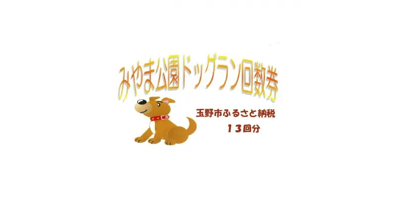 【ふるさと納税】みやま公園 ドッグラン 回数券 13回分 チケット 体験 岡山県 玉野市　玉野市