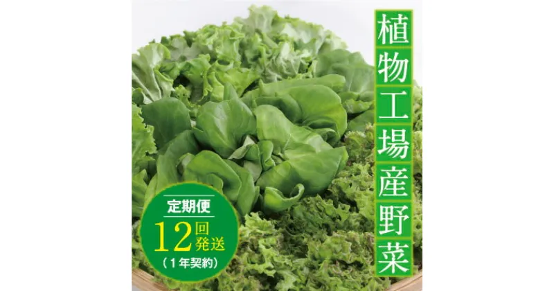 【ふるさと納税】【無農薬！開けてそのまま食べられます！】10-03 植物工場産野菜・お徳用12セット（1年契約）1セット×12回