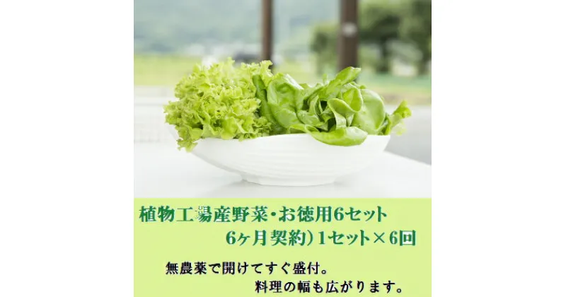 【ふるさと納税】【無農薬！開けてそのまま食べられます！】5-03 植物工場産野菜・お徳用6セット（6ヶ月契約）1セット×6回