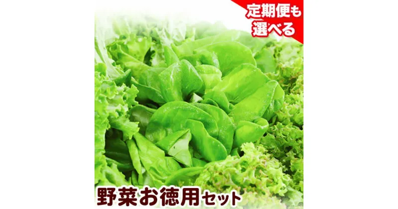 【ふるさと納税】【無農薬！開けてそのまま食べられます！】1-34 植物工場産野菜・お徳用セット 定期便も選べる 無農薬 水耕栽培 野菜 フレッシュ 新鮮 無洗浄