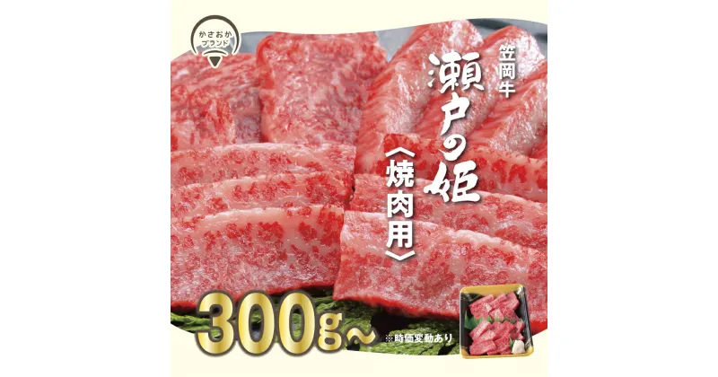 【ふるさと納税】A-09 瀬戸の姫（焼肉用）牛肉 焼肉 さし BBQ