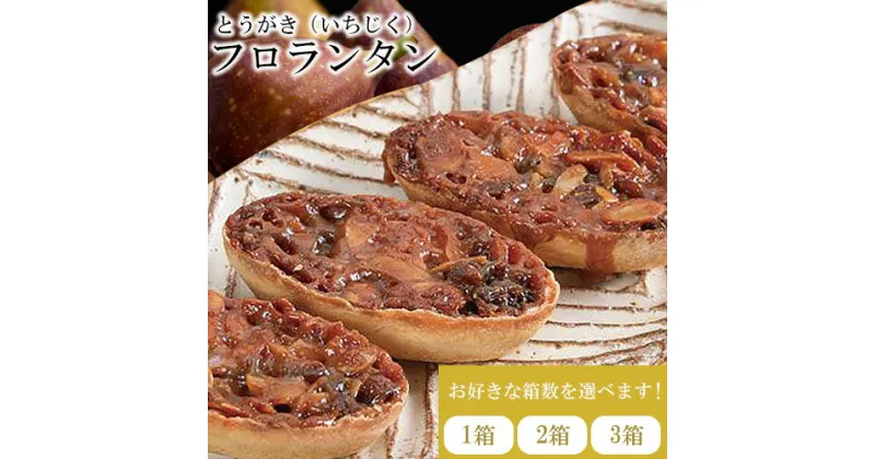 【ふるさと納税】かさおか産 とうがきフロランタン 3ケースセット 藤屋菓子舗 《45日以内に出荷予定(土日祝除く)》お菓子 焼き菓子 フロランタン スイーツ お土産 手作り おすすめ デザート おやつ いちじく アーモンド キャラメル ギフト 贈答 岡山県 笠岡市