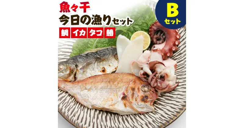 【ふるさと納税】A-136 魚々干 今日の漁りセット Bセット 灰干し 鯛 イカ タコ 鰆 特定非営利活動法人 かさおか島づくり海社《45日以内に出荷予定(土日祝除く)》岡山県 笠岡市 魚 さかな 干し おまかせ 詰め合わせ 天然魚介 魚介