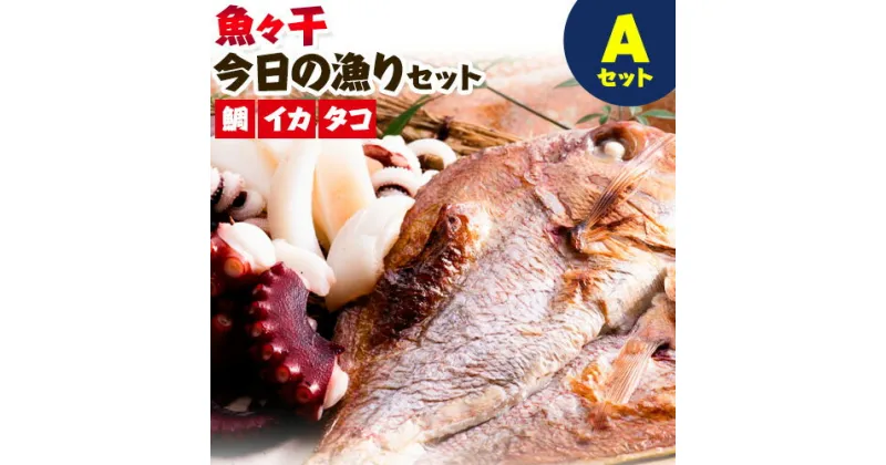 【ふるさと納税】A-135 魚々干 今日の漁りセット Aセット 灰干し 鯛 イカ タコ 特定非営利活動法人 かさおか島づくり海社《45日以内に出荷予定(土日祝除く)》岡山県 笠岡市 魚 さかな 干し おまかせ 詰め合わせ 天然魚介 魚介