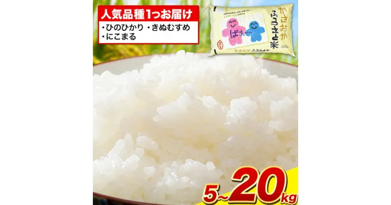 【ふるさと納税】米 令和6年産 新米 5kg ～ 20kg 予約 ふるさと米 備中笠岡 人気品種をお届け！ 国産 ヒノヒカリ にこまる きぬむすめ お米 ブランド米 おにぎり 弁当 単一原料米 お取り寄せ 送料無料 岡山県産 内容量が選べる