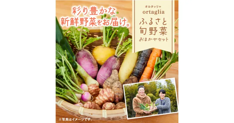 【ふるさと納税】季節の旬野菜 10品 おまかせセット（農薬・化学肥料不使用） A-229《45日以内に出荷予定(土日祝除く)》