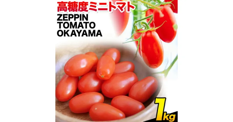 【ふるさと納税】C-39a ZEPPIN TOMATO Okayama 1kg箱（ZEPPIN EX）　平均糖度12度　甘い　フルーツトマト《90日以内に出荷予定(土日祝除く)》