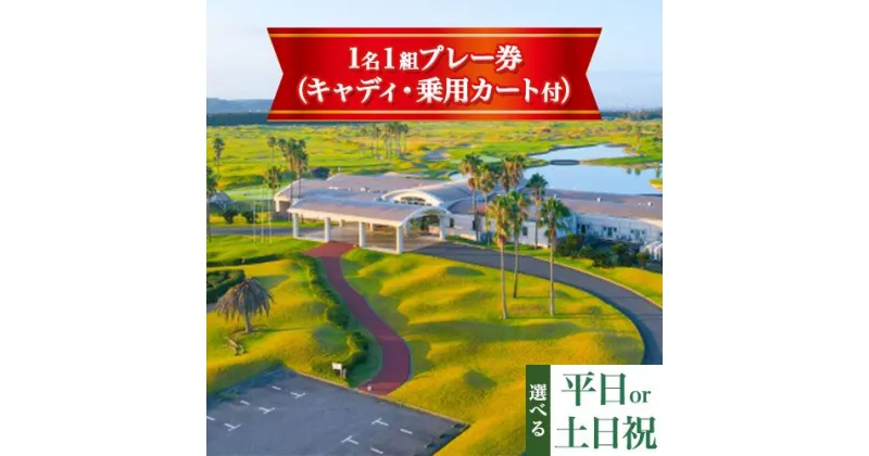 【ふるさと納税】JFE瀬戸内海ゴルフ倶楽部 プレー券（キャディ・乗用カート付）選べる 平日 または 土日祝《45日以内に出荷予定(土日祝除く)》株式会社JFE瀬戸内海エンタープライズ 岡山県 笠岡市 ゴルフ倶楽部 ゴルフ チケット 利用券