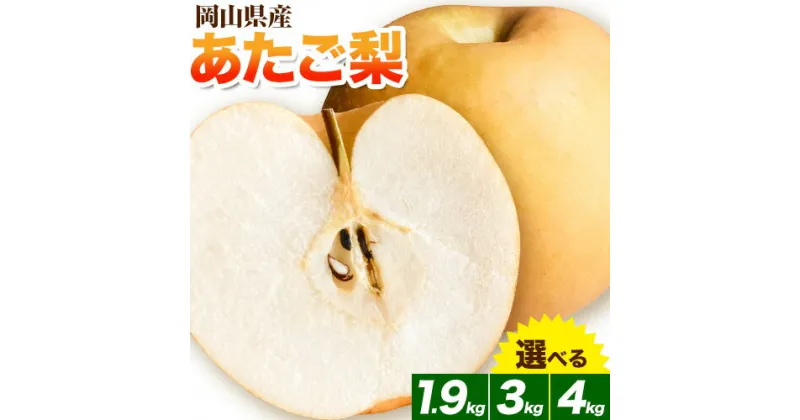 【ふるさと納税】 岡山県産 あたご梨　大玉2個入り（1玉　950g以上) 令和6年産先行受付