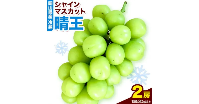 【ふるさと納税】　岡山県産　冷蔵シャインマスカット（1房530g以上2房入り）令和6年度産先行受付【配送不可地域あり】