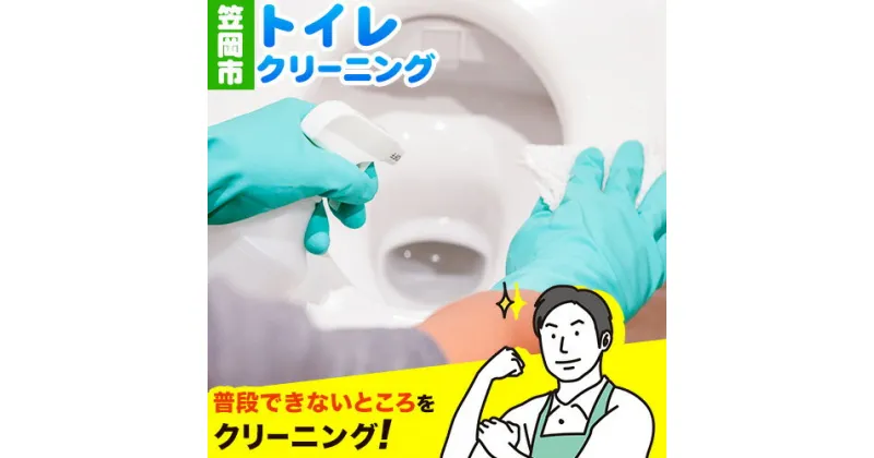 【ふるさと納税】 トイレクリーニング ベンリー笠岡 《90日以内に出荷予定(土日祝除く)》 掃除 クリーニング 代行 トイレ お手洗い 便器 岡山県 笠岡市