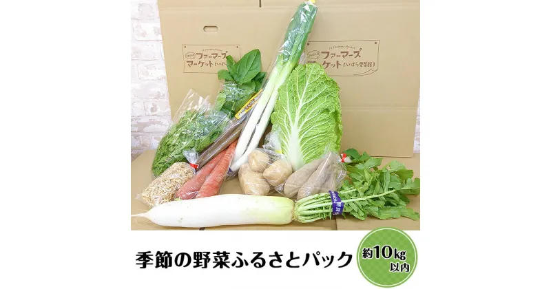 【ふるさと納税】野菜セット A-05　季節の野菜ふるさとパック