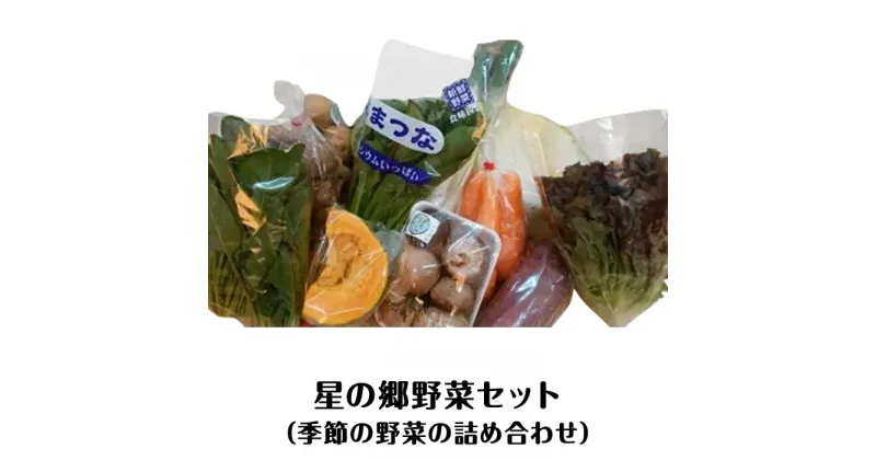 【ふるさと納税】野菜セット A-37　星の郷野菜セット