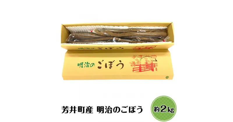 【ふるさと納税】先行予約 野菜 ごぼう 岡山 根菜 ゴボウ A-06芳井・明治ごぼう【2024年11月～発送予定】