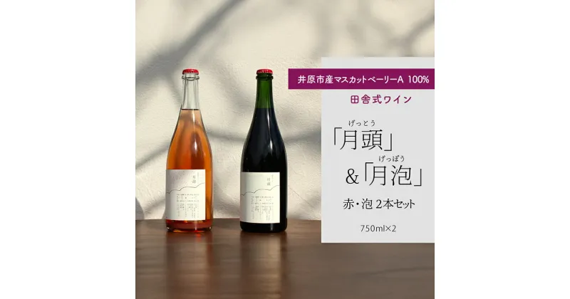 【ふるさと納税】田舎式ワイン「月頭」＆「月泡」2本セット