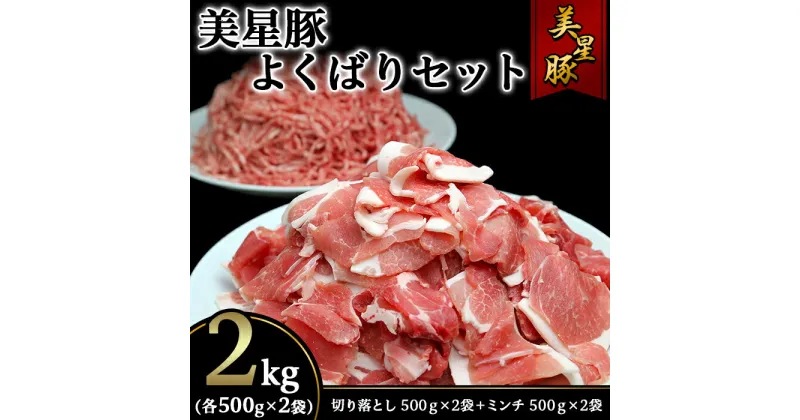 【ふるさと納税】美星豚よくばりセット2kg(切り落とし500g×2袋、ミンチ500g×2袋)