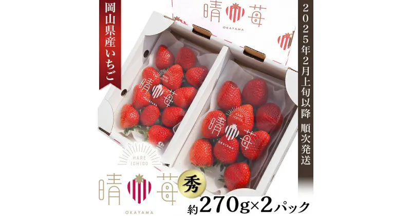 【ふるさと納税】苺 いちご フルーツ イチゴ 国産 先行予約 岡山県産いちご「晴苺」秀【2025年2月上旬以降順次発送】