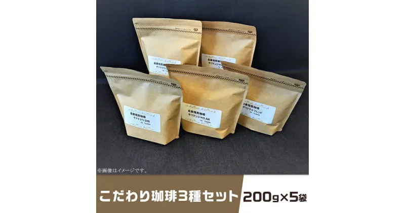 【ふるさと納税】コーヒー 珈琲 3種 200g×5袋 1kg キリマンジャロ グアテマラ 飲み比べ アウトドア キャンプ こだわり珈琲3種セット（200g×5袋）自家焙煎珈房　藤枝