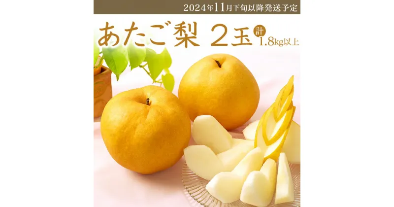 【ふるさと納税】フルーツ先行予約 果物 梨 岡山県産 なし あたご梨 1.8kg 2玉 旬 くだもの 岡山県産あたご梨2玉（1.8kg以上）【2024年11月下旬～12月中旬発送予定】環山堂