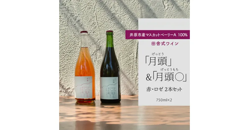 【ふるさと納税】田舎式ワイン「月頭」＆「月頭◯」2本セット