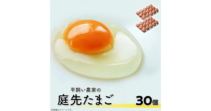 【ふるさと納税】こだわり卵 卵 たまご 玉子 タマゴ 鶏卵 平飼い 30個 まとめ買い 卵かけご飯 オムレツ 朝食 料理 人気 美味しい 贅沢　平飼い農家の庭先たまご 30個