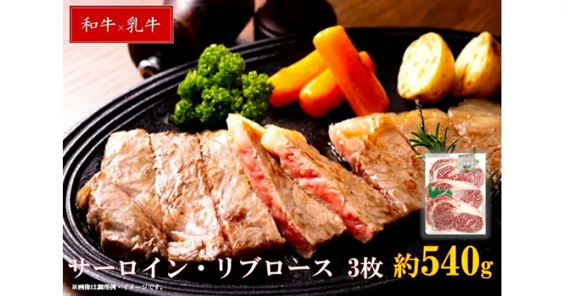 【ふるさと納税】清麻呂 牛 ロース テキ肉 約540g（約180g×3枚） 牛肉 国産牛 ロース ステーキ 小分け 贈答用 贈答 贈り物 焼肉 BBQ グルメ 清麻呂 牛 ロース テキ肉 約540g（約180g×3枚） 岡山市場発F1牛肉