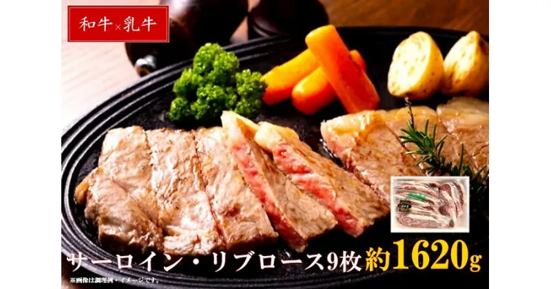 【ふるさと納税】清麻呂 牛 ロース テキ肉 約1.62kg（約180g×9枚） 牛肉 国産牛 ロース ステーキ 小分け 贈答用 贈答 贈り物 焼肉 BBQ グルメ 清麻呂 牛 ロース テキ肉 約1.62kg（約180g×9枚） 岡山市場発F1牛肉