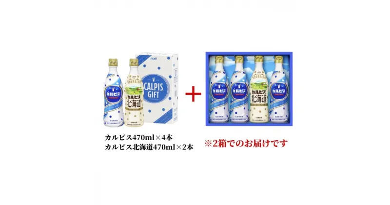 【ふるさと納税】カルピス カルピス北海道 詰め合わせ セット 6本 470ml 乳酸菌 飲料 総社市