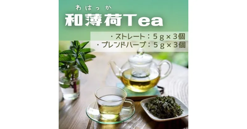 【ふるさと納税】和薄荷Tea　薄荷　ティーバッグ　お茶