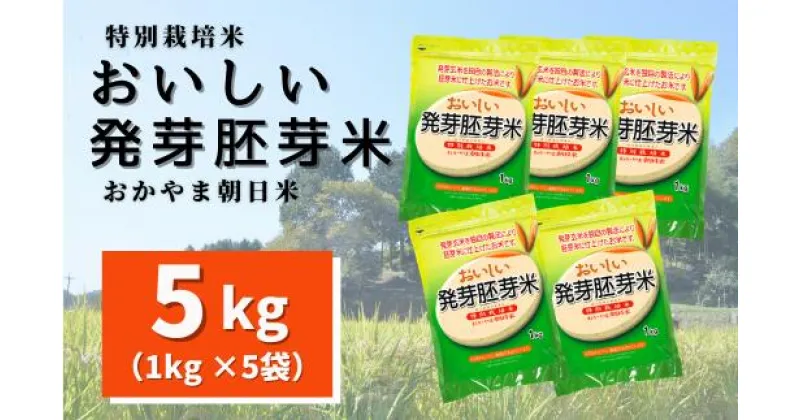 【ふるさと納税】おいしい発芽胚芽米 5kg（1kg×5袋）　米　発芽米　胚芽米　5kg　1kg