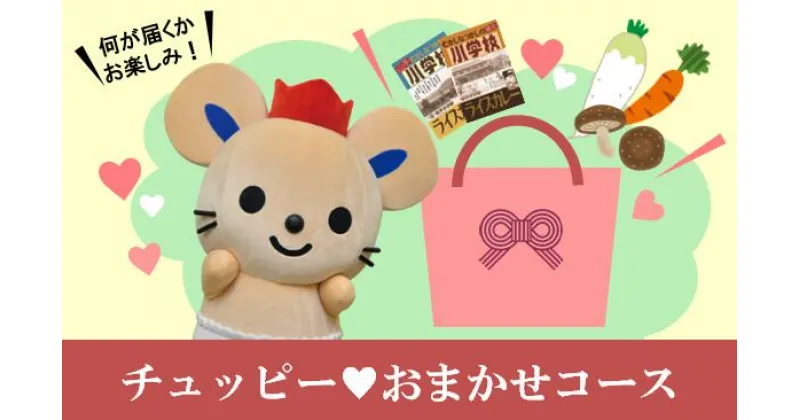 【ふるさと納税】チュッピーおまかせコース（季節に応じた特産品（品物の指定不可））　特産品　野菜　レトルト