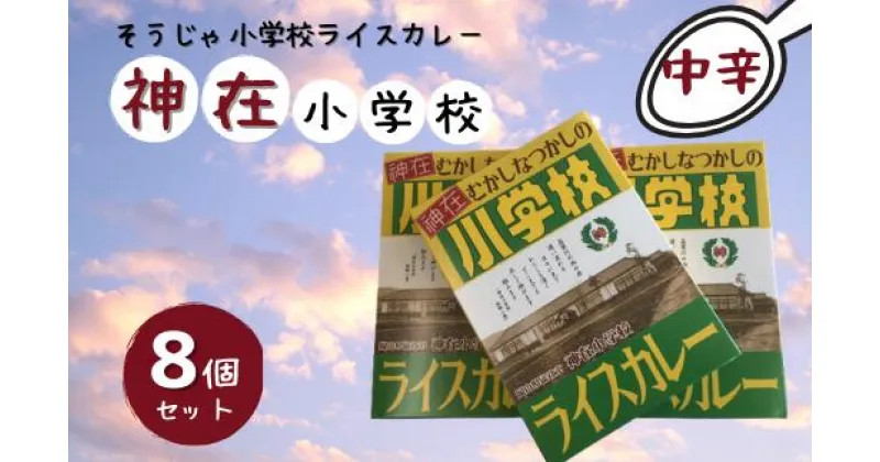 【ふるさと納税】そうじゃ小学校ライスカレー（神在小学校版×8個）　カレー　レトルト　レトロ