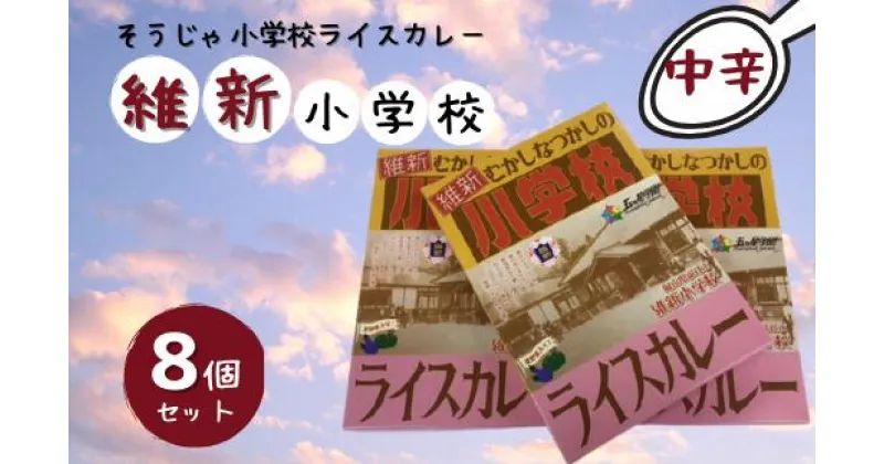 【ふるさと納税】そうじゃ小学校ライスカレー（維新小学校版×8個）　カレー　レトルト　レトロ