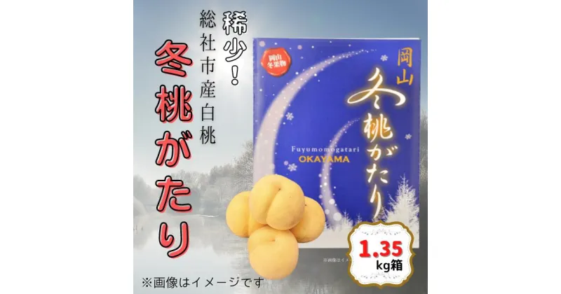 【ふるさと納税】白桃 冬桃がたり 岡山県 総社市産 2024年産先行予約 1.35kg箱 11月～12月配送