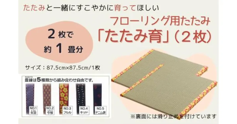 【ふるさと納税】 フローリング用 たたみ たたみ育 2枚