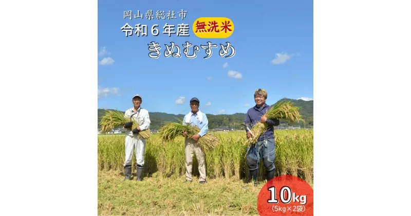 【ふるさと納税】米 無洗米 令和6年産 きぬむすめ 特A 10kg 5kg×2袋 選べる 配送月 総社 そうじゃ