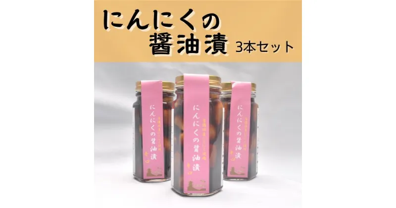 【ふるさと納税】にんにくの醤油漬 にんにく ニンニク ガーリック 醤油 しょうゆ 醤油漬 たれ 薬味 手作り 総社 そうじゃ