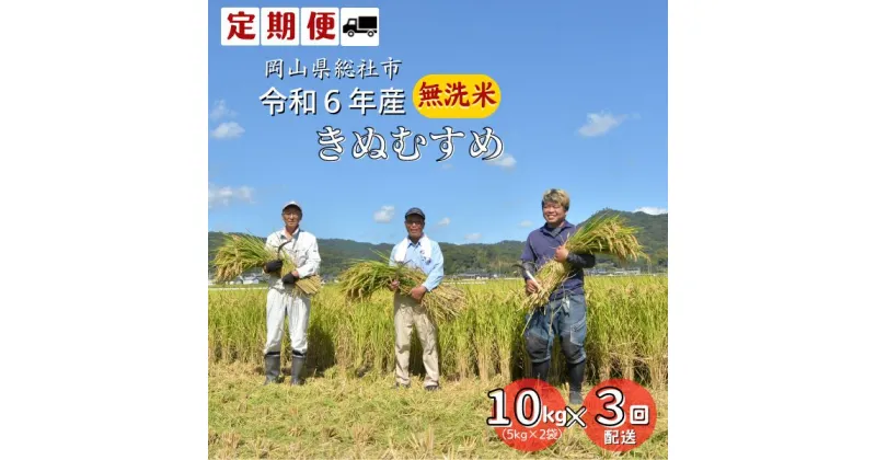 【ふるさと納税】米 無洗米 定期便 3ヶ月 3回配送 令和6年産 きぬむすめ 特A 10kg 5kg×2袋 総社 そうじゃ