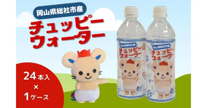 【ふるさと納税】チュッピーウォーター24本入×1ケース 水 ミネラルウォーター 500ml 24本 1ケース