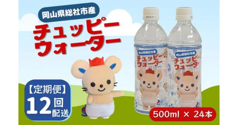 【ふるさと納税】チュッピーウォーター24本入×1ケース 水 ミネラルウォーター 500ml 24本 1ケース 定期便 12ヶ月