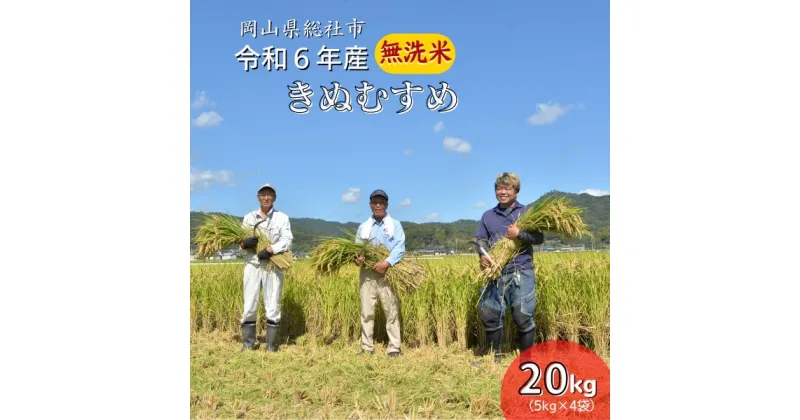 【ふるさと納税】米 無洗米 令和6年産 きぬむすめ 特A 20kg 5kg×4袋 選べる 配送月 総社 そうじゃ