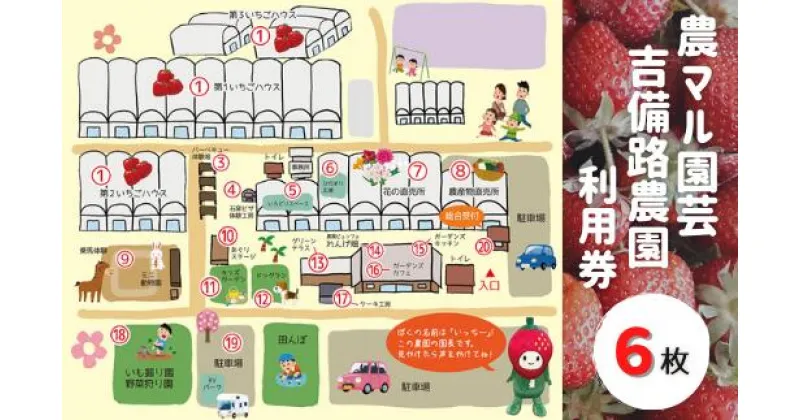 【ふるさと納税】農マル園芸吉備路農園利用券（6枚）　利用券　送料無料